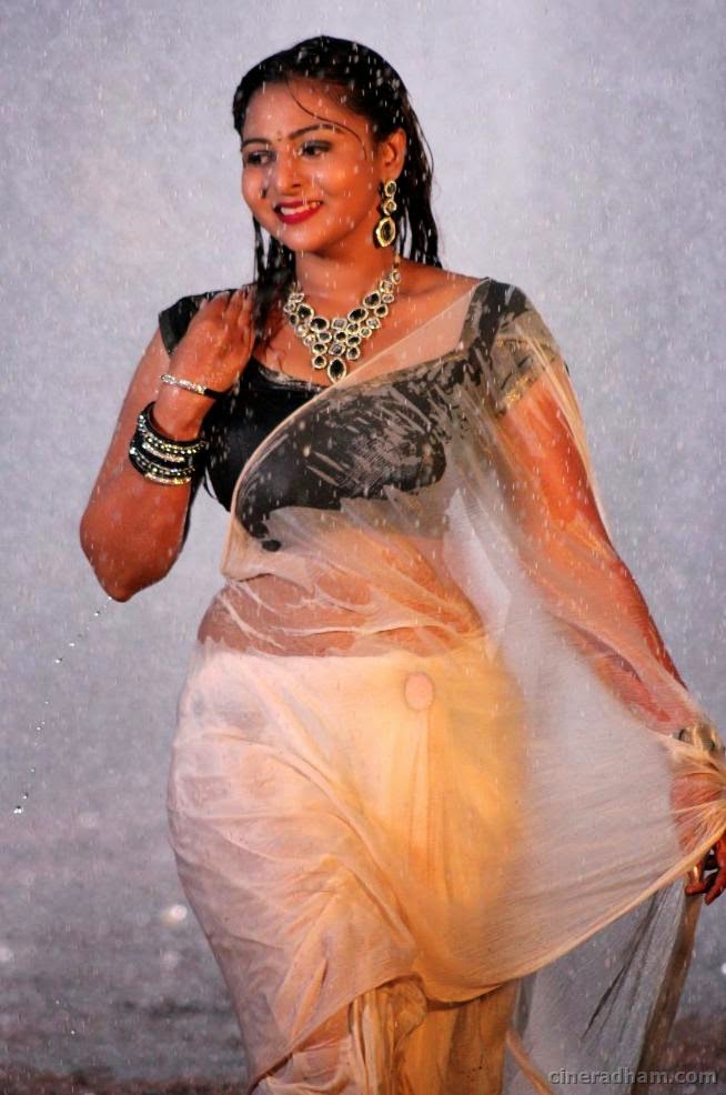 Hot South Indian Aunty in Wet Saree Pics ~ Mallu Aunt